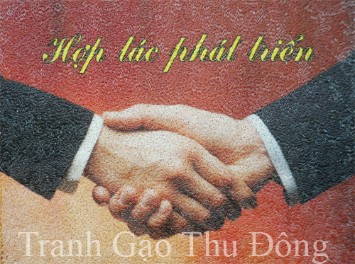 Hợp tác phát triển